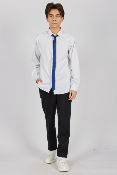 Галстук A-NT55095 (Синий, Универсальный)