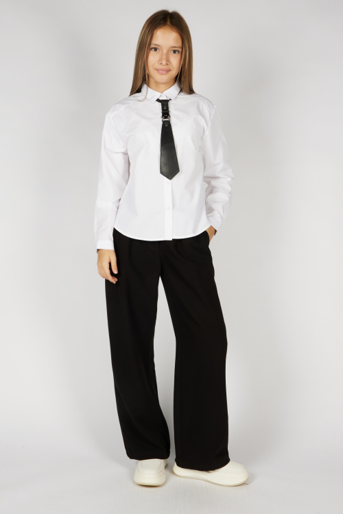 Галстук A-NT55580-26 Miasin (Черный, Унив. (4 шт.))