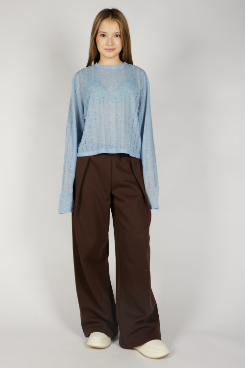 Брюки G-TR26494 Miasin (коричневый, 134-164)