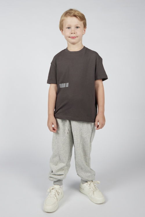 Брюки B-TR36134 Miasin (Серый, 100-130)