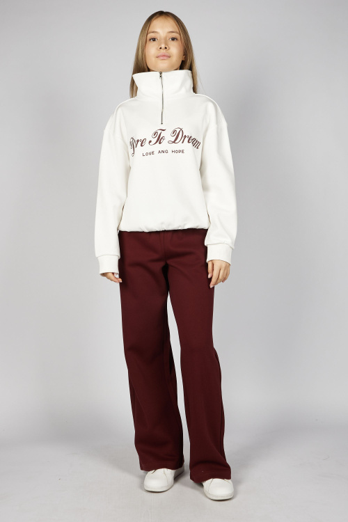 Брюки G-TR25409 (бордовый, 134-164)